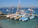 Une grappe de pointus